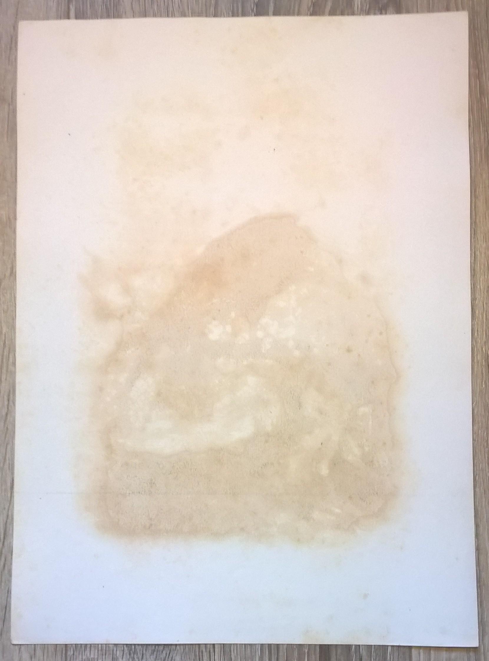 Rycina IX (chromolitografia) – Kania czarno-brązowa – Niemcy, koniec XIX w.