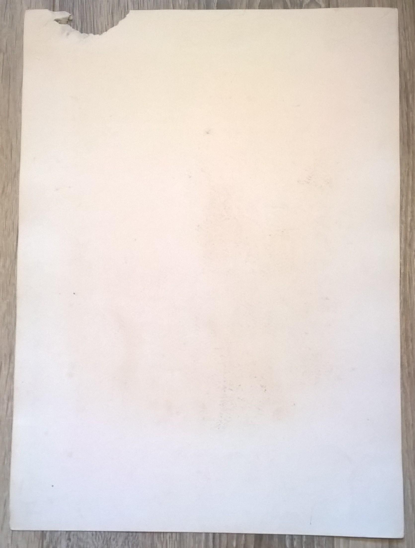 Rycina XXIII (chromolitografia) – Sokół Feldegga – Niemcy, koniec XIX w.