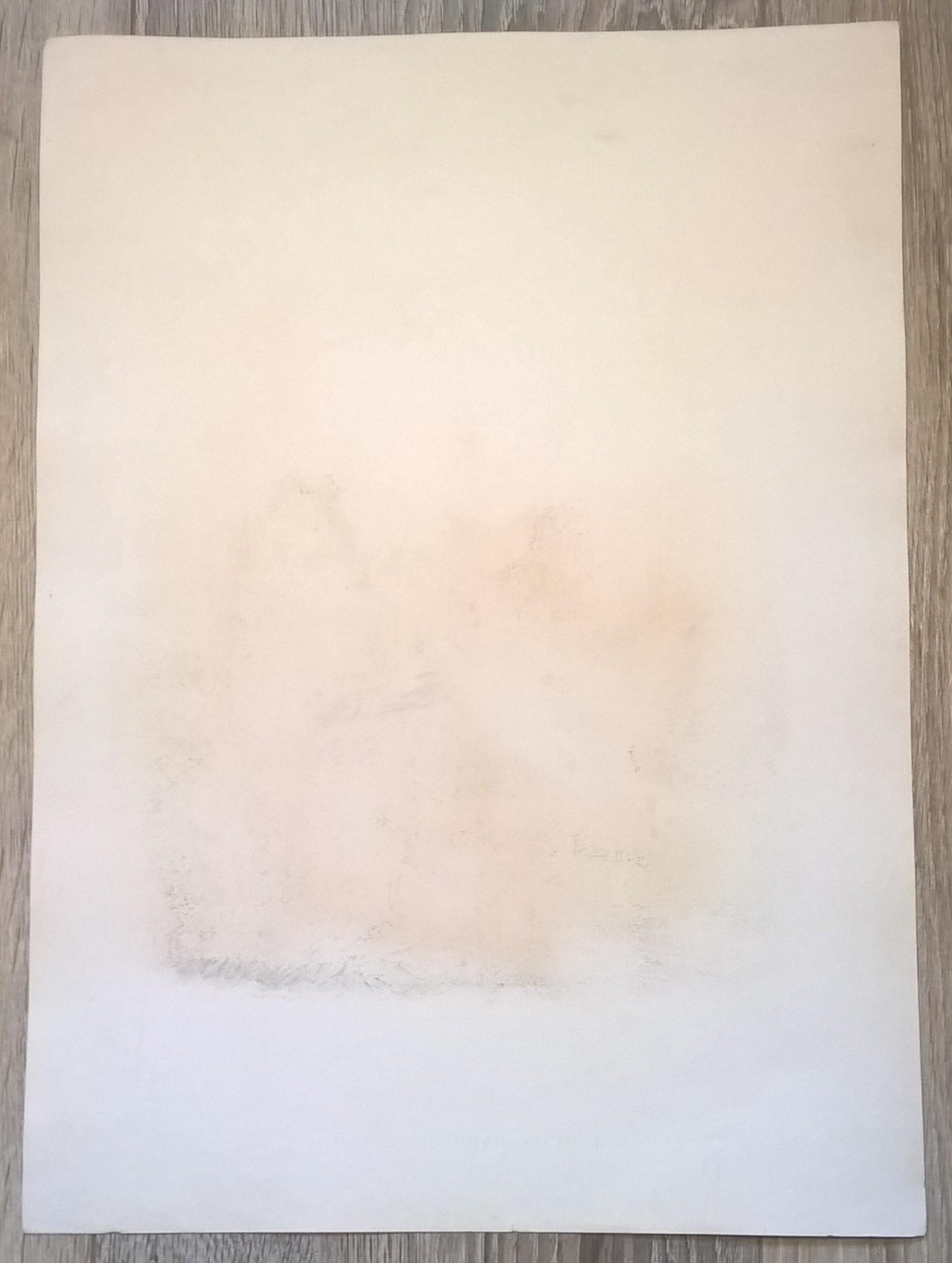 Rycina XII (chromolitografia) – Błotniak stawowy – Niemcy, koniec XIX w.