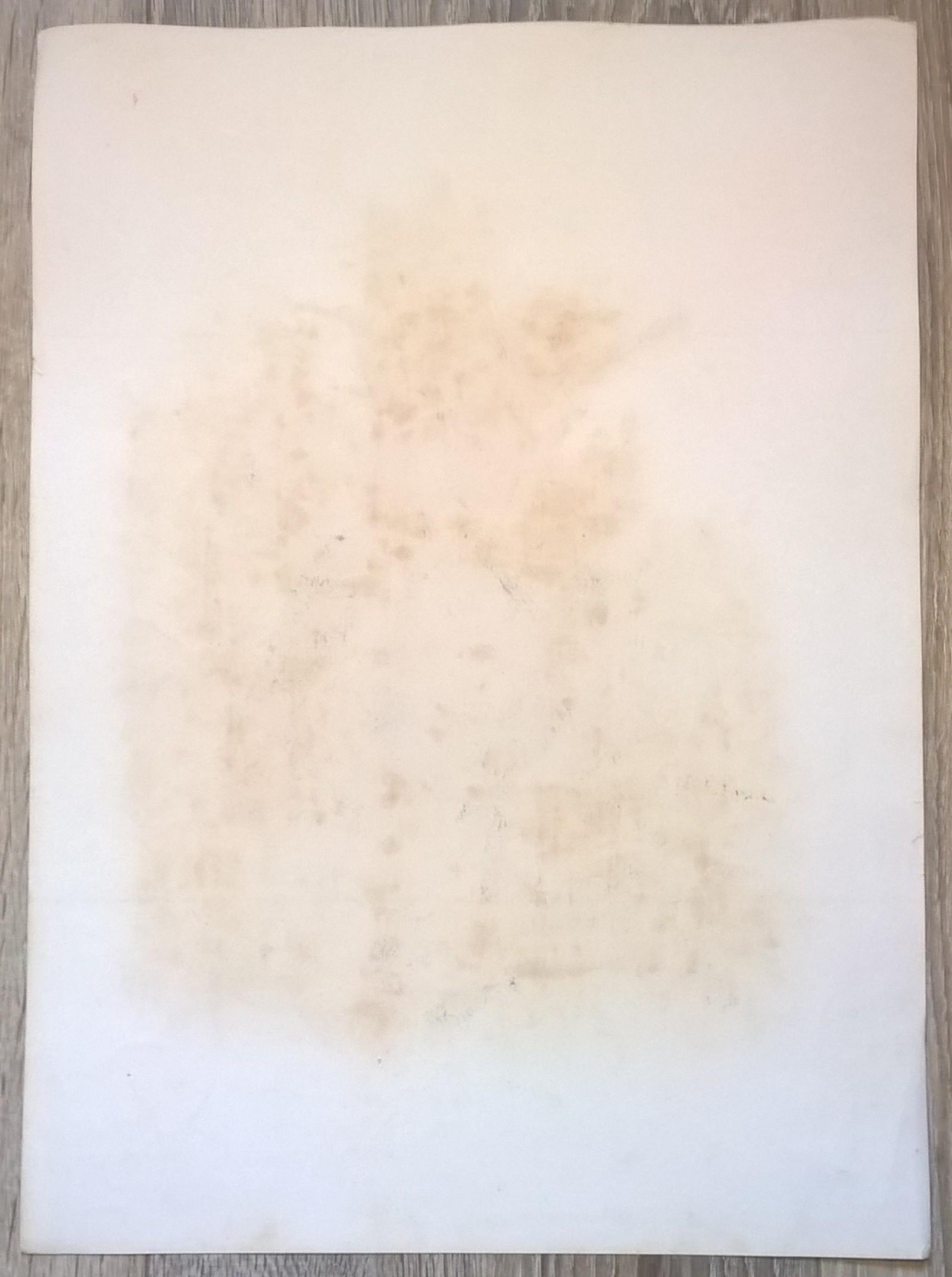 Rycina VI (chromolitografia) – Krogulec – Niemcy, koniec XIX w.