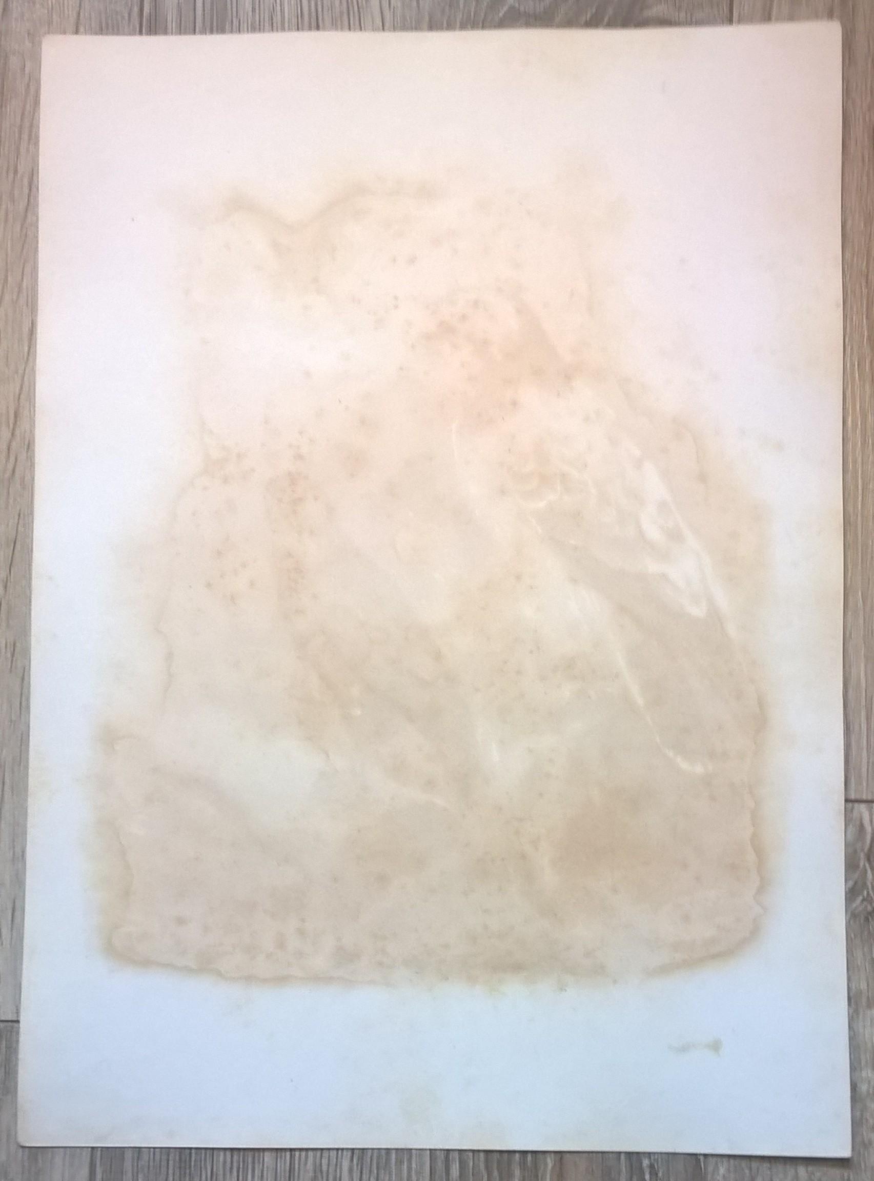 Rycina I (chromolitografia) - Myszołów zwyczajny - Niemcy, koniec XIX w.