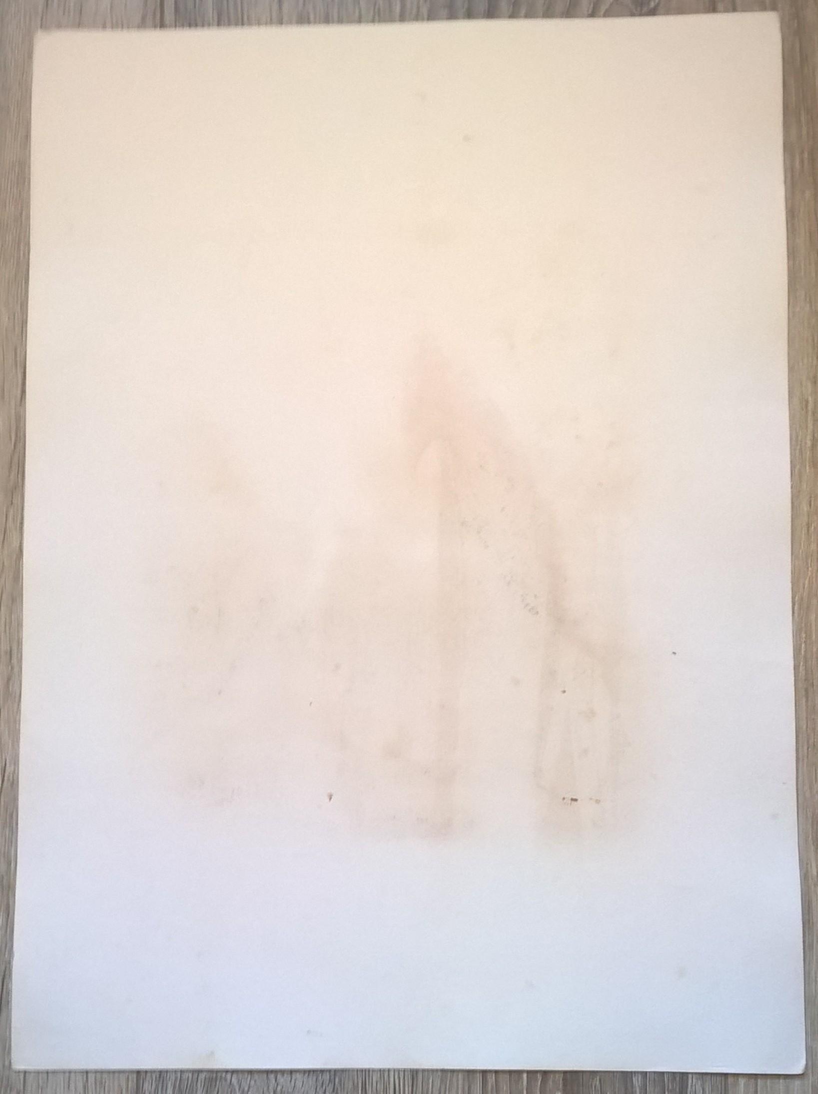 Rycina XIII (chromolitografia) – Błotniak blady – Niemcy, koniec XIX w.