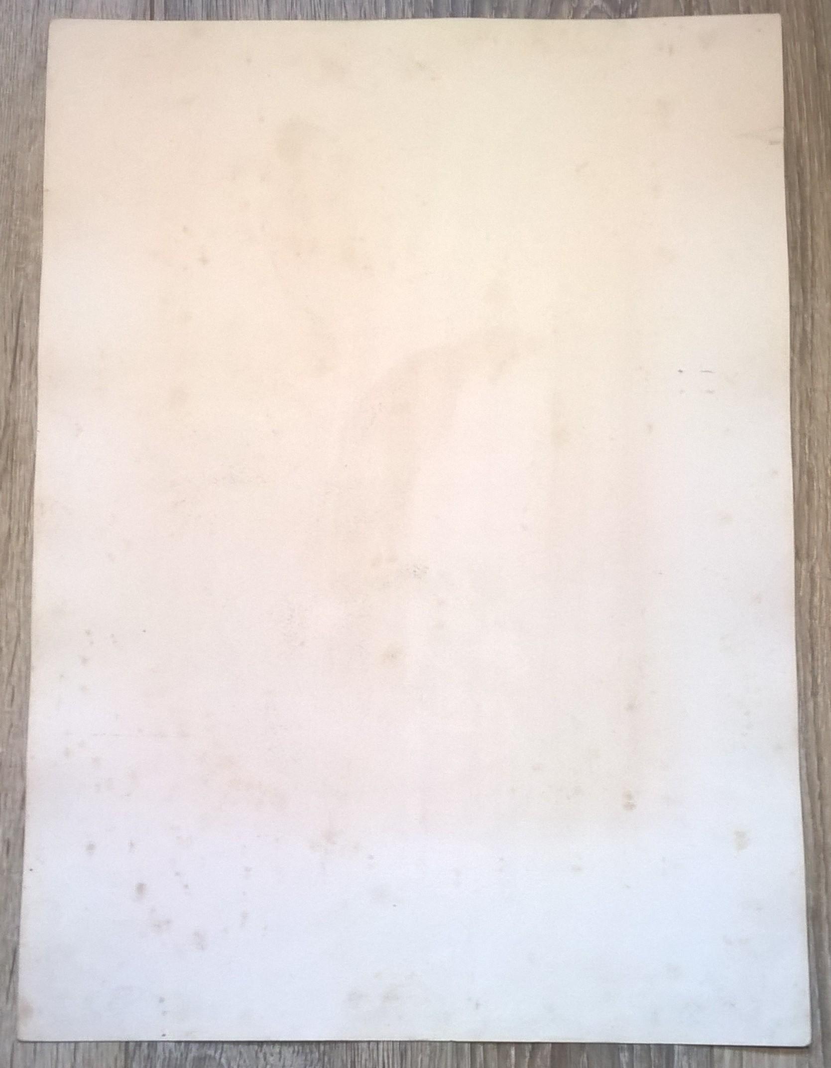 Rycina XXIV (chromolitografia) – Sokół wędrowny – Niemcy, koniec XIX w.