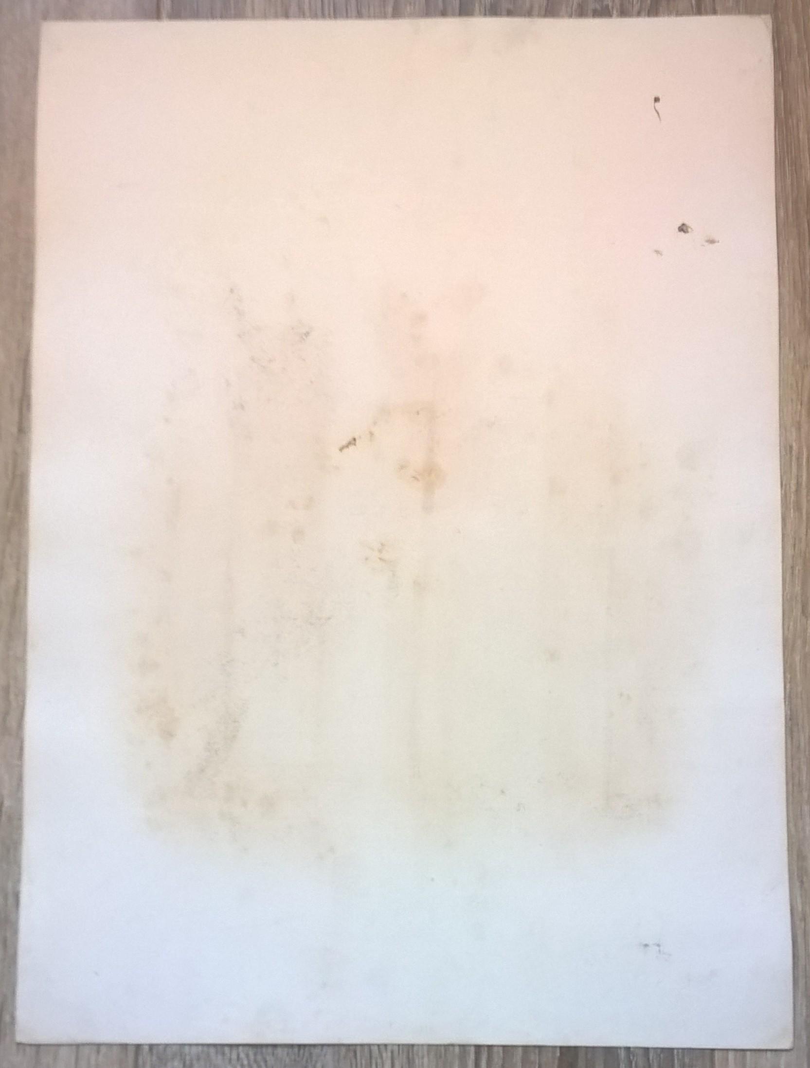 Rycina IX (chromolitografia) – Błotniak stawowy – Niemcy, koniec XIX w.