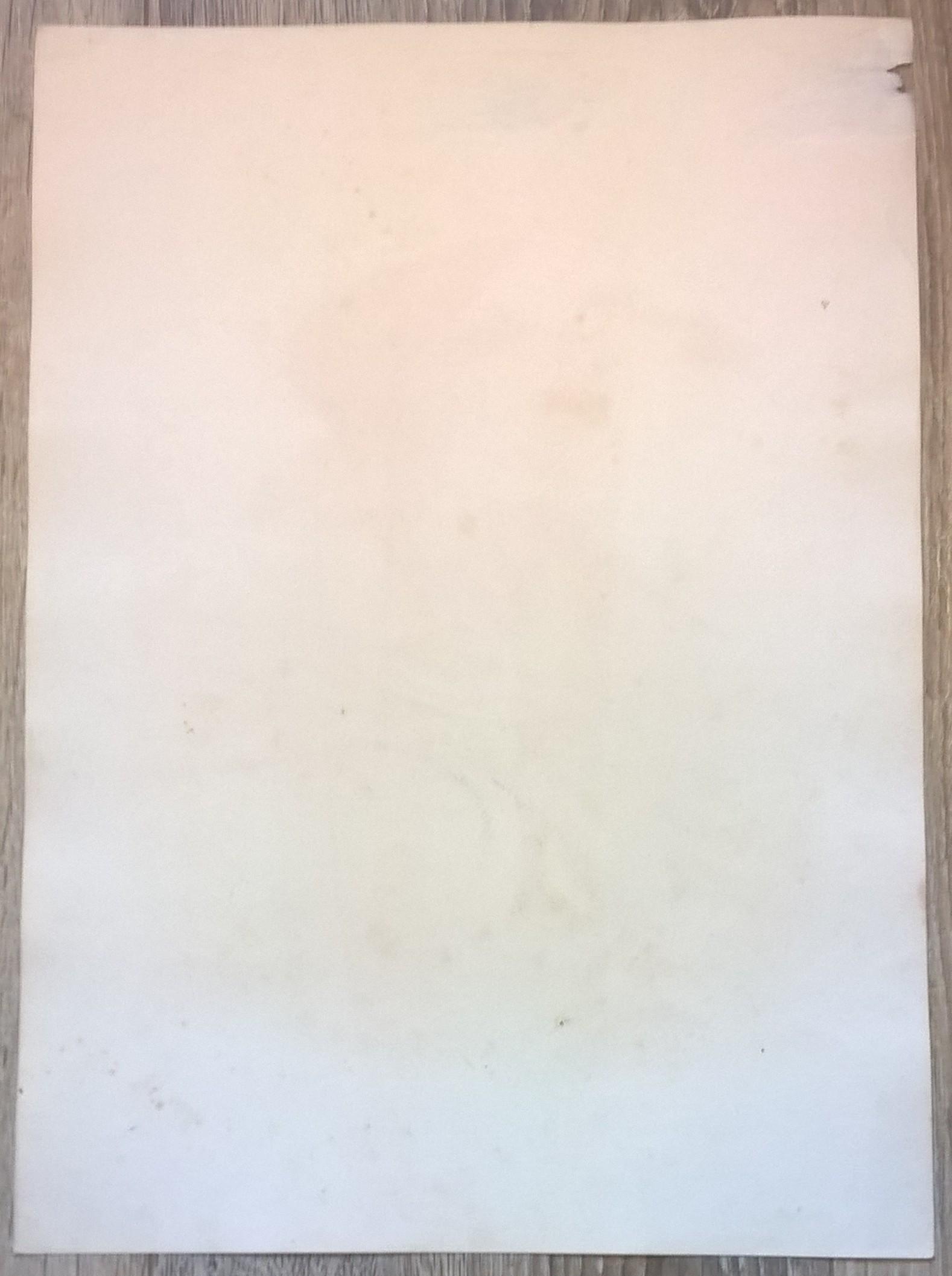 Rycina XV (chromolitografia) – Myszołów stepowy – Niemcy, koniec XIX w.