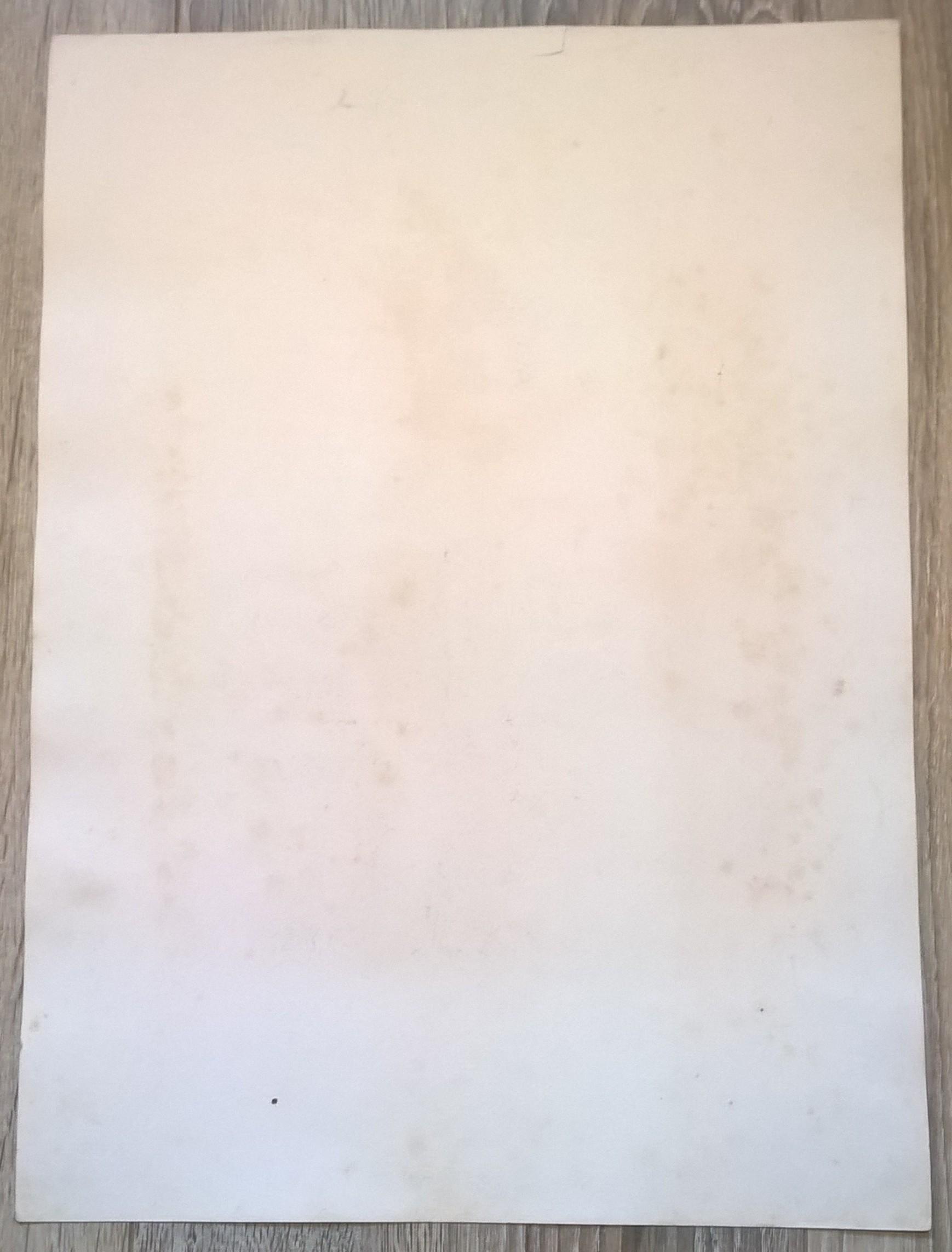 Rycina XXVIII (chromolitografia) – Sokół skowronkodzioby – Niemcy, koniec XIX w.