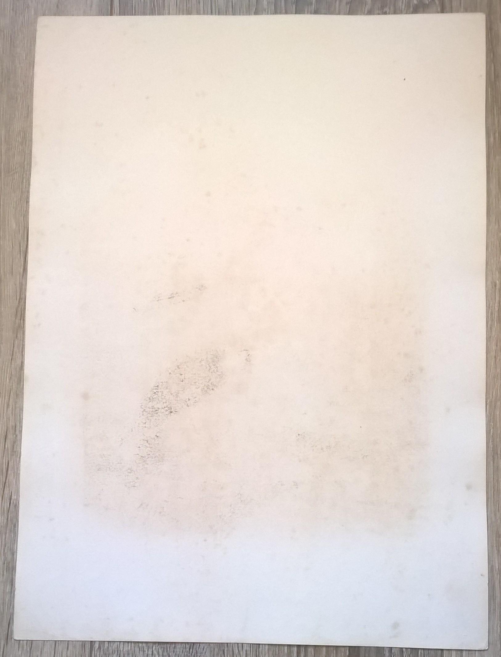 Rycina XI (chromolitografia) – Błotniak łąkowy – Niemcy, koniec XIX w.