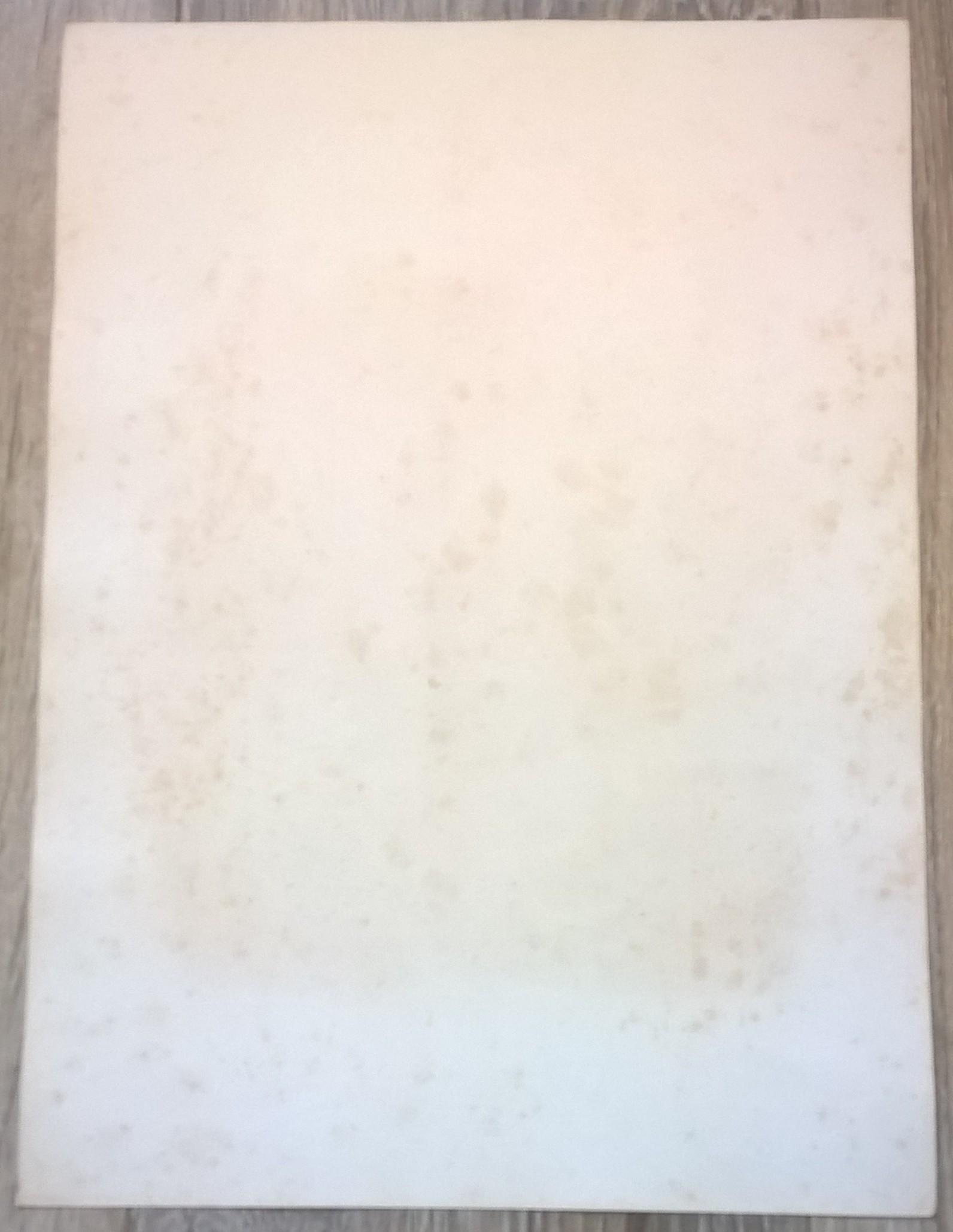Rycina XVI (chromolitografia) – Kania czarnoskrzydła – Niemcy, koniec XIX w.