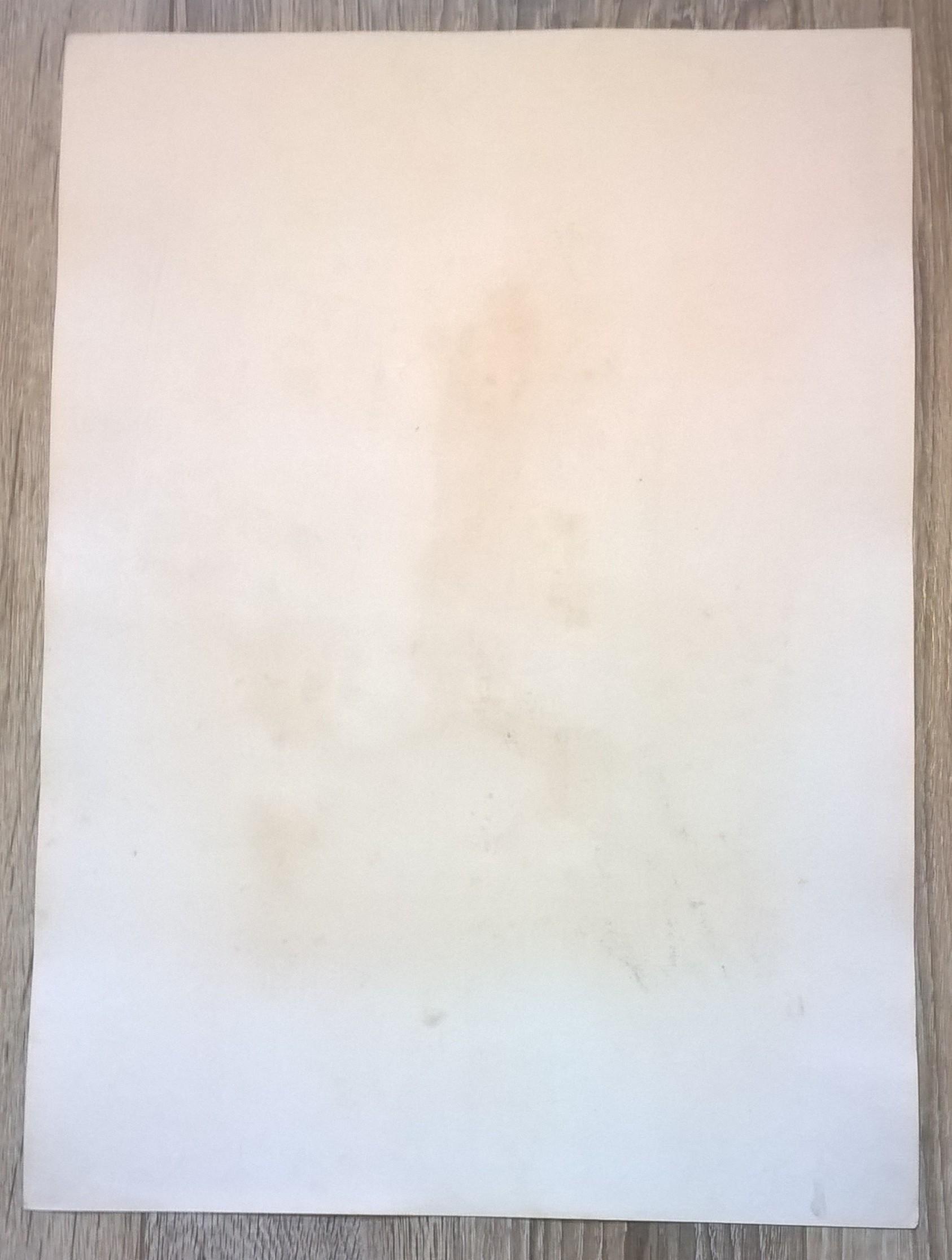 Rycina XVIII (chromolitografia) – Sokół norweski (odmiana islandzka) – Niemcy, koniec XIX w.