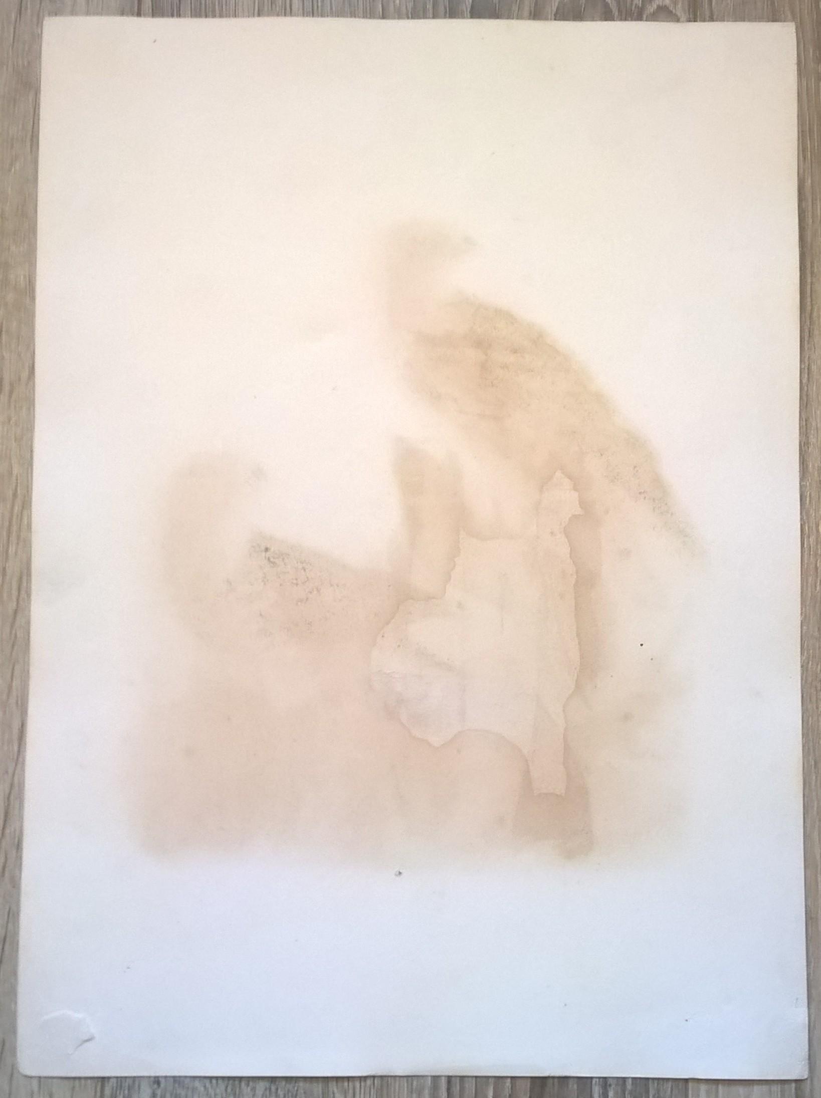 Rycina III (chromolitografia) – Myszołów pospolity – Niemcy, koniec XIX w.