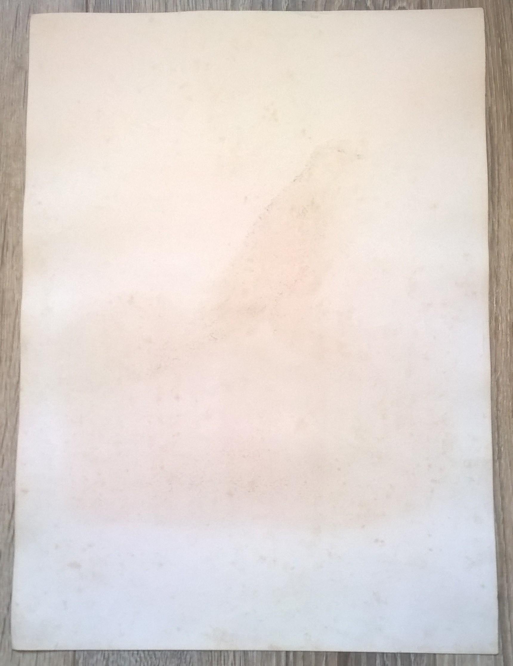 Rycina XIV (chromolitografia) – Myszołów królewski – Niemcy, koniec XIX w.
