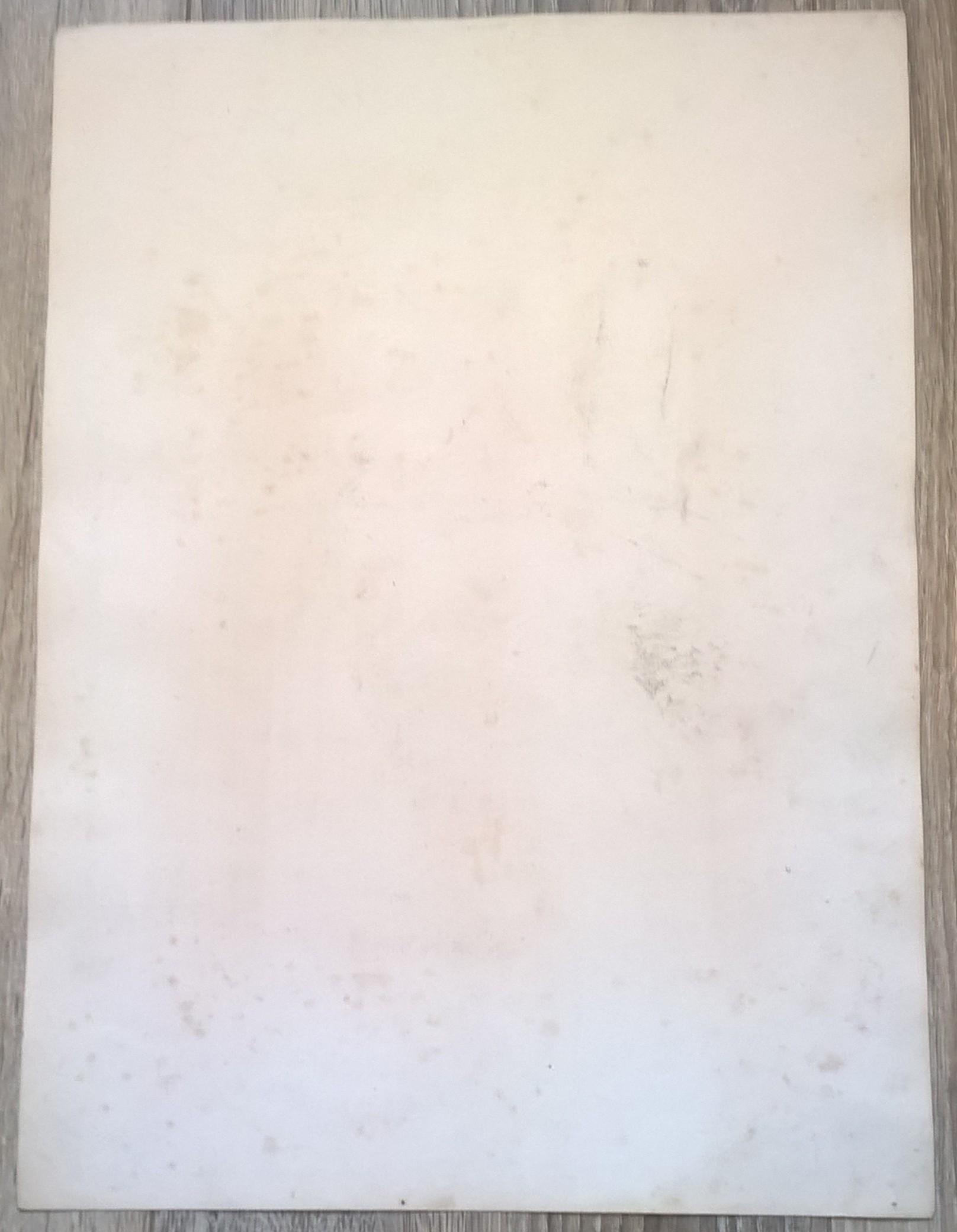 Rycina XXV (chromolitografia) – Sokół wędrowny – Niemcy, koniec XIX w.