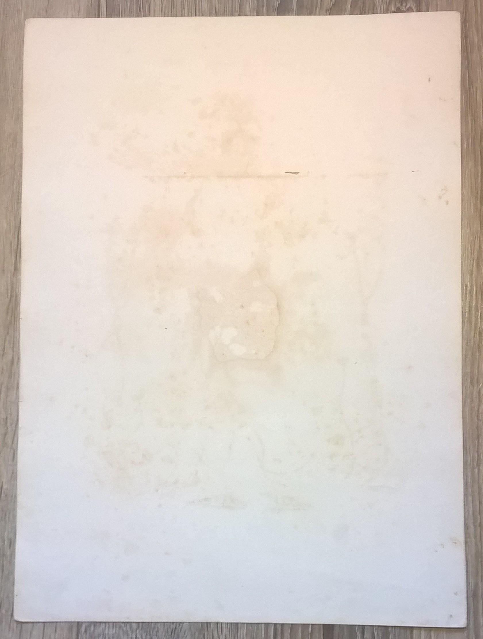 Rycina XXVI (chromolitografia) – Sokół siedzący na pięści, gotowy do polowania – Niemcy, koniec XIX w.