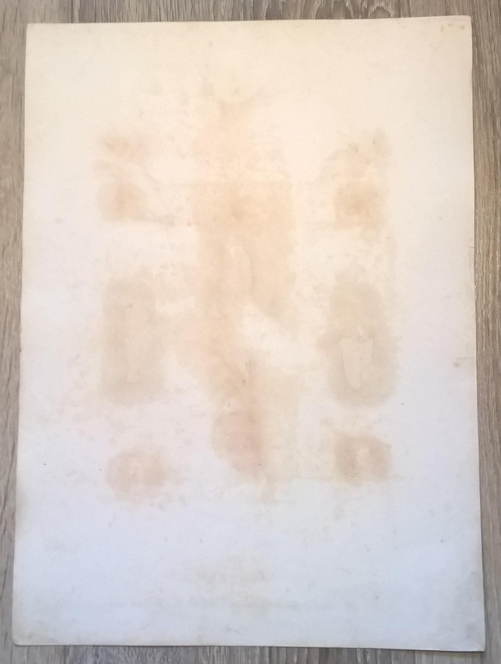 Rycina XXVII (chromolitografia) – Akcesoria sokolnicze – Niemcy, koniec XIX w.