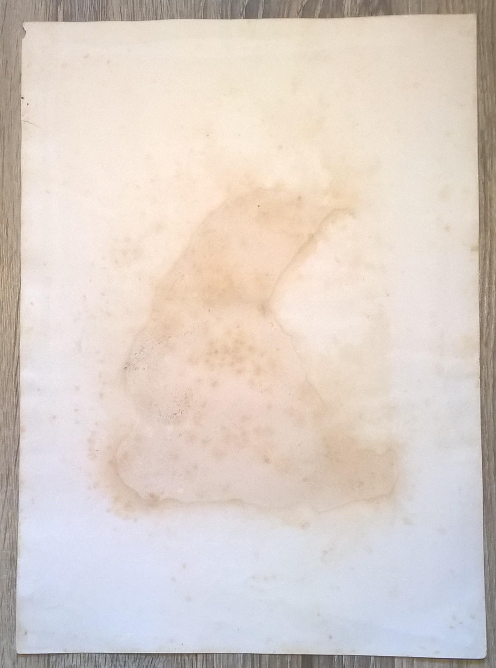 Rycina XXXVI (chromolitografia) – Orzeł kamienny – Niemcy, koniec XIX w.