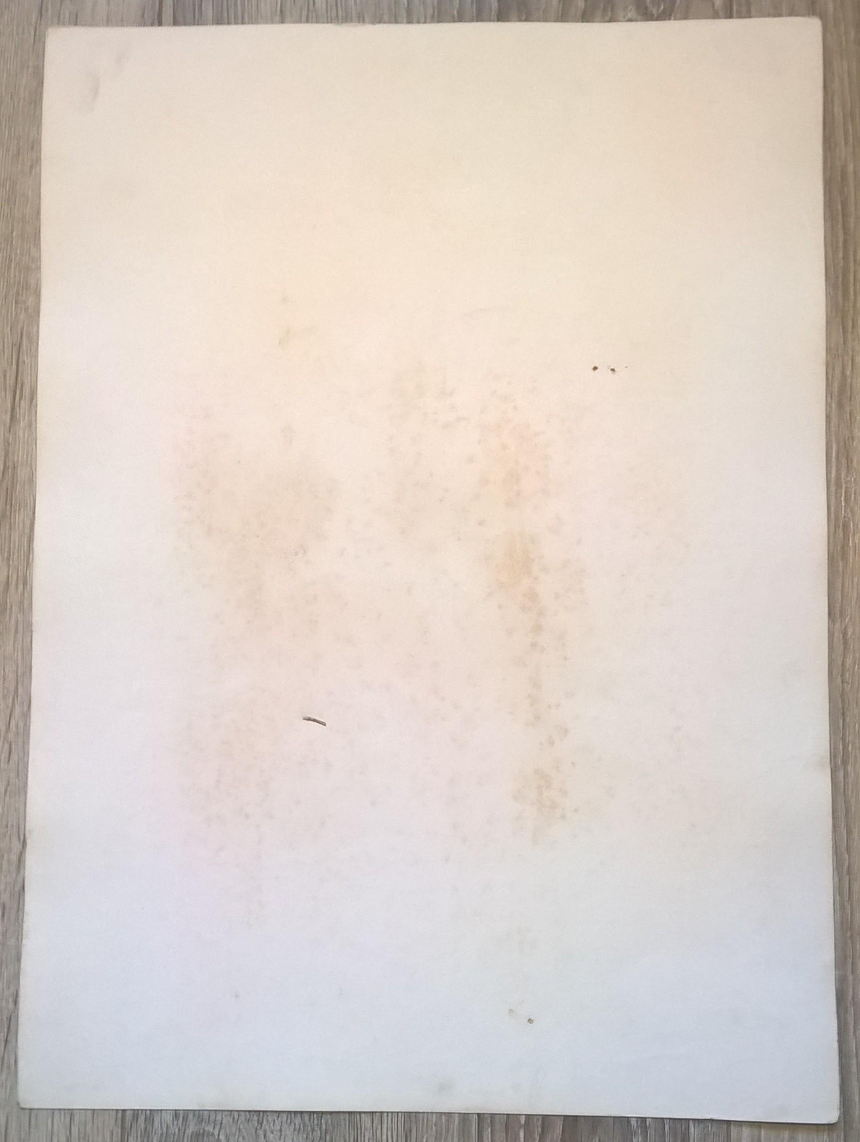 Rycina XLVII (chromolitografia) – Sęp egipski – Niemcy, koniec XIX w.