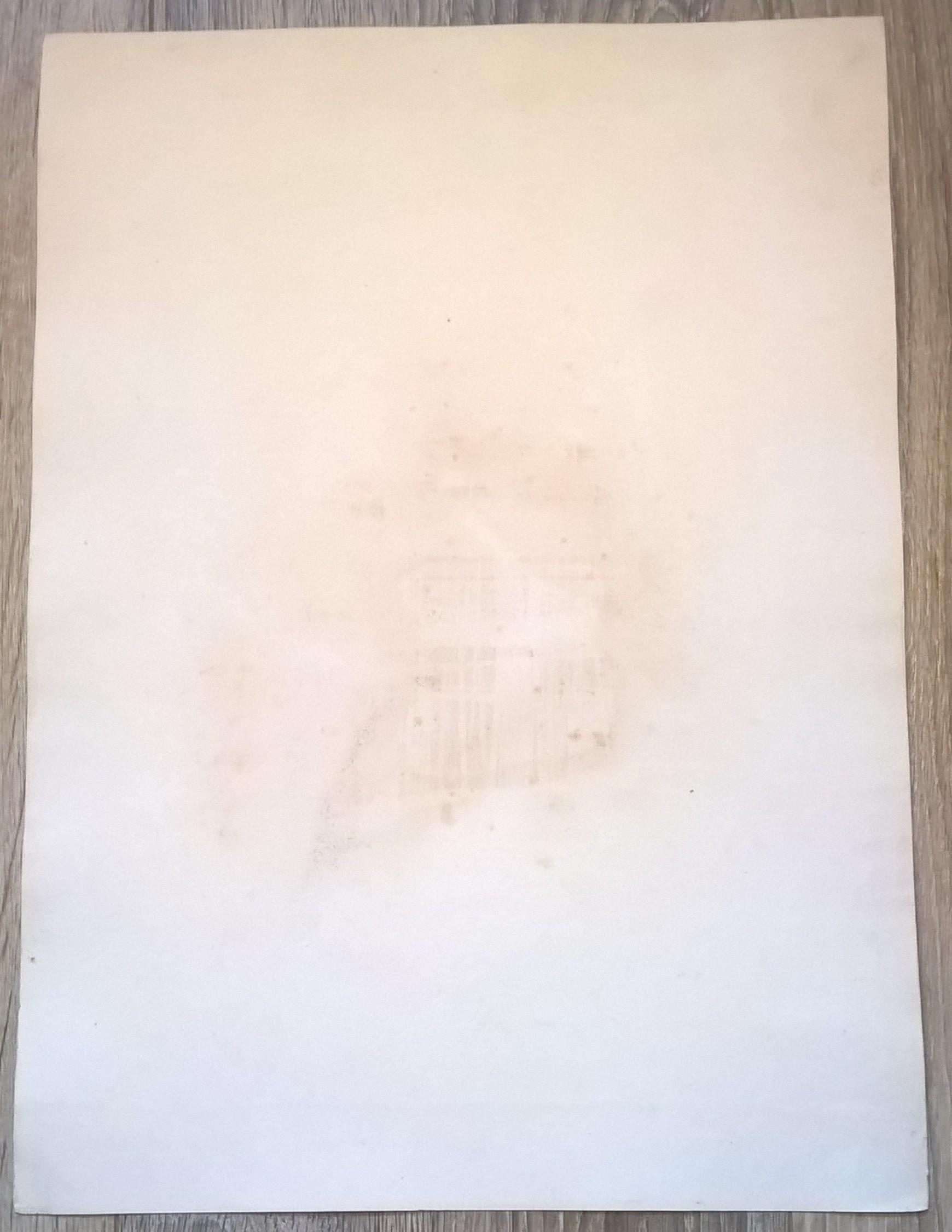 Rycina XL (chromolitografia) – Orzeł karłowaty – Niemcy, koniec XIX w.