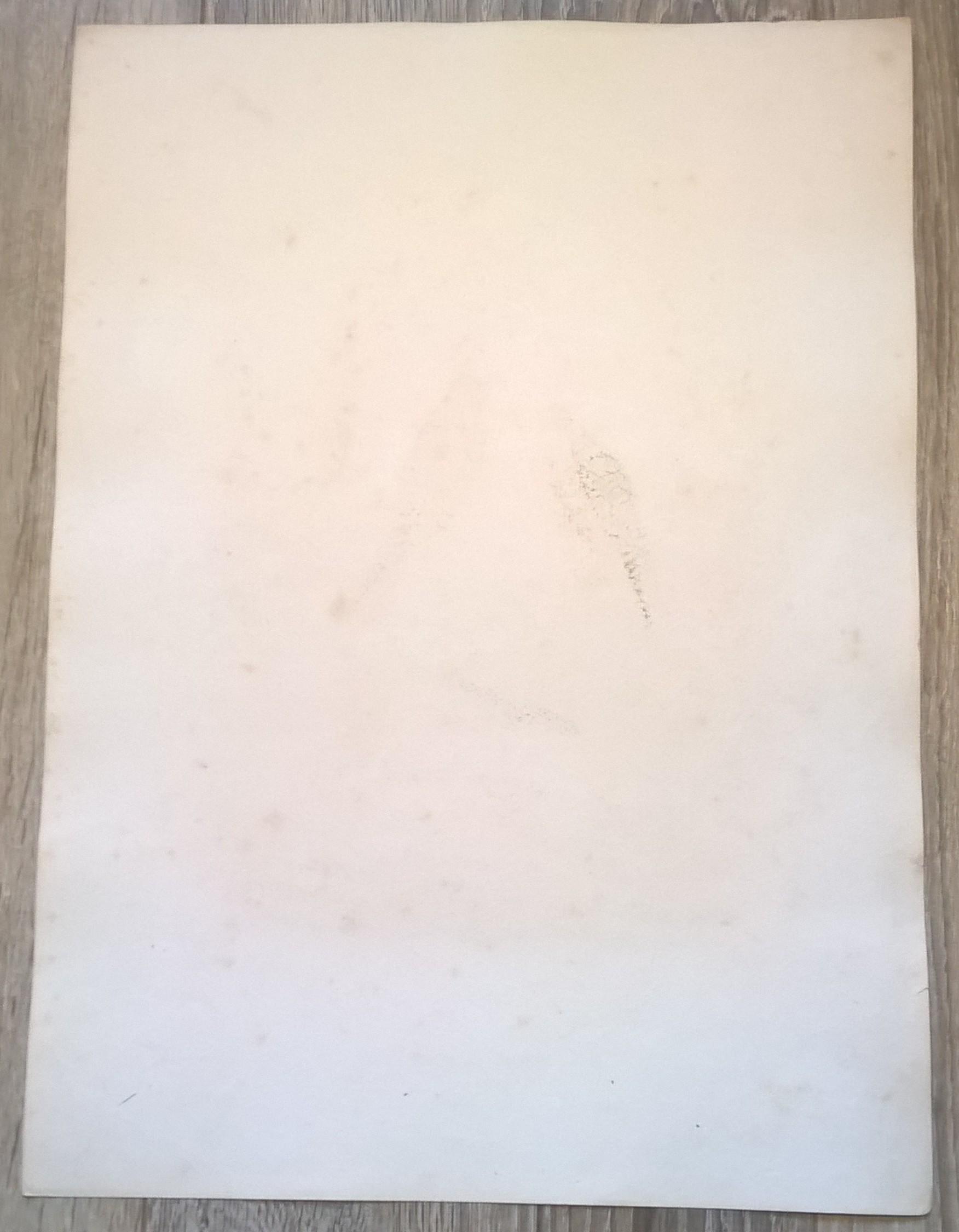 Rycina XXXIII (chromolitografia) – Sokół Rothfussa (sokół kobuzik) – Niemcy, koniec XIX w.