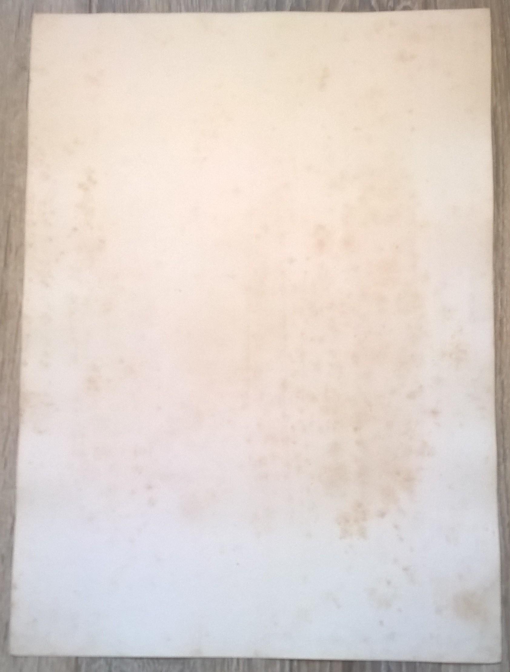 Rycina XXXI (chromolitografia) – Pustułka – Niemcy, koniec XIX w.