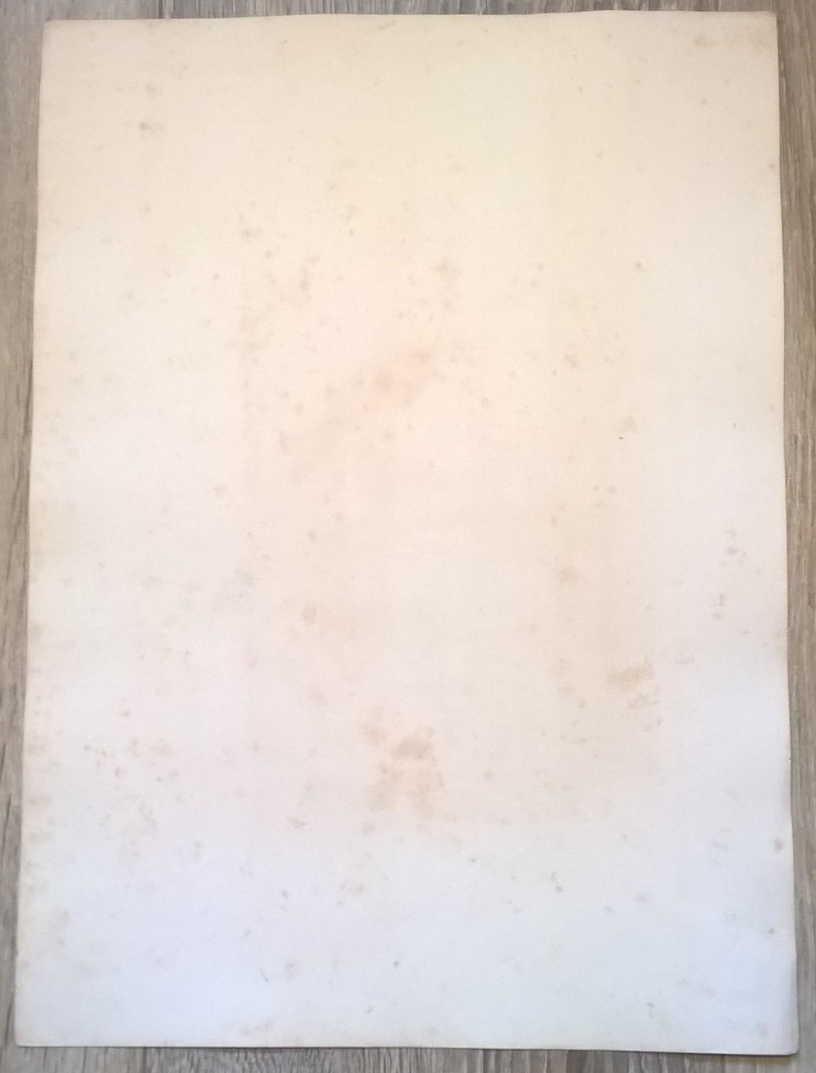 Rycina XXXII (chromolitografia) – Sokół Rothela – Niemcy, koniec XIX w.