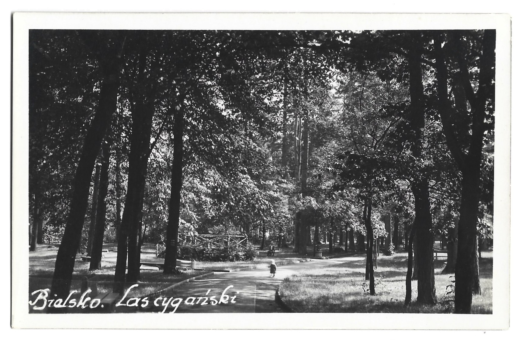 Pocztówka - BIELSKO. Las cygański [Bielsko-Biała]