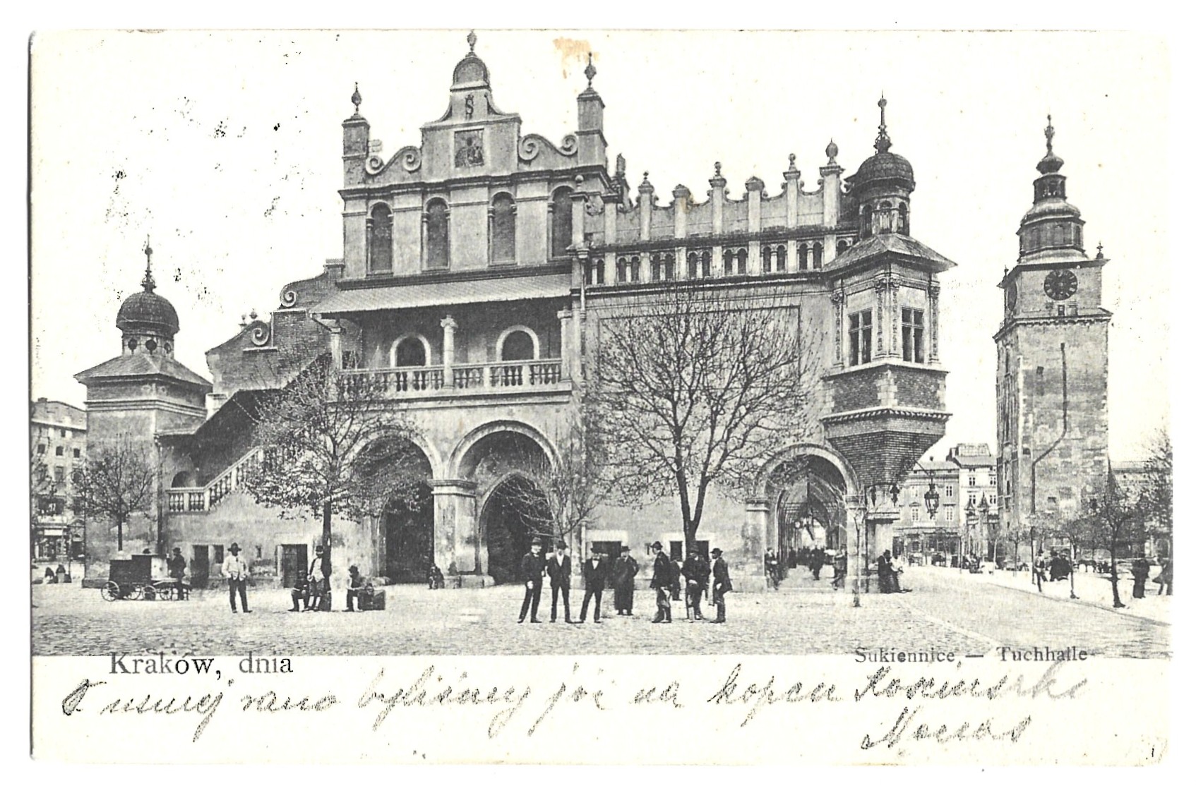 Pocztówka - Kraków. Sukiennice (Tuchhalle), 1904 r.
