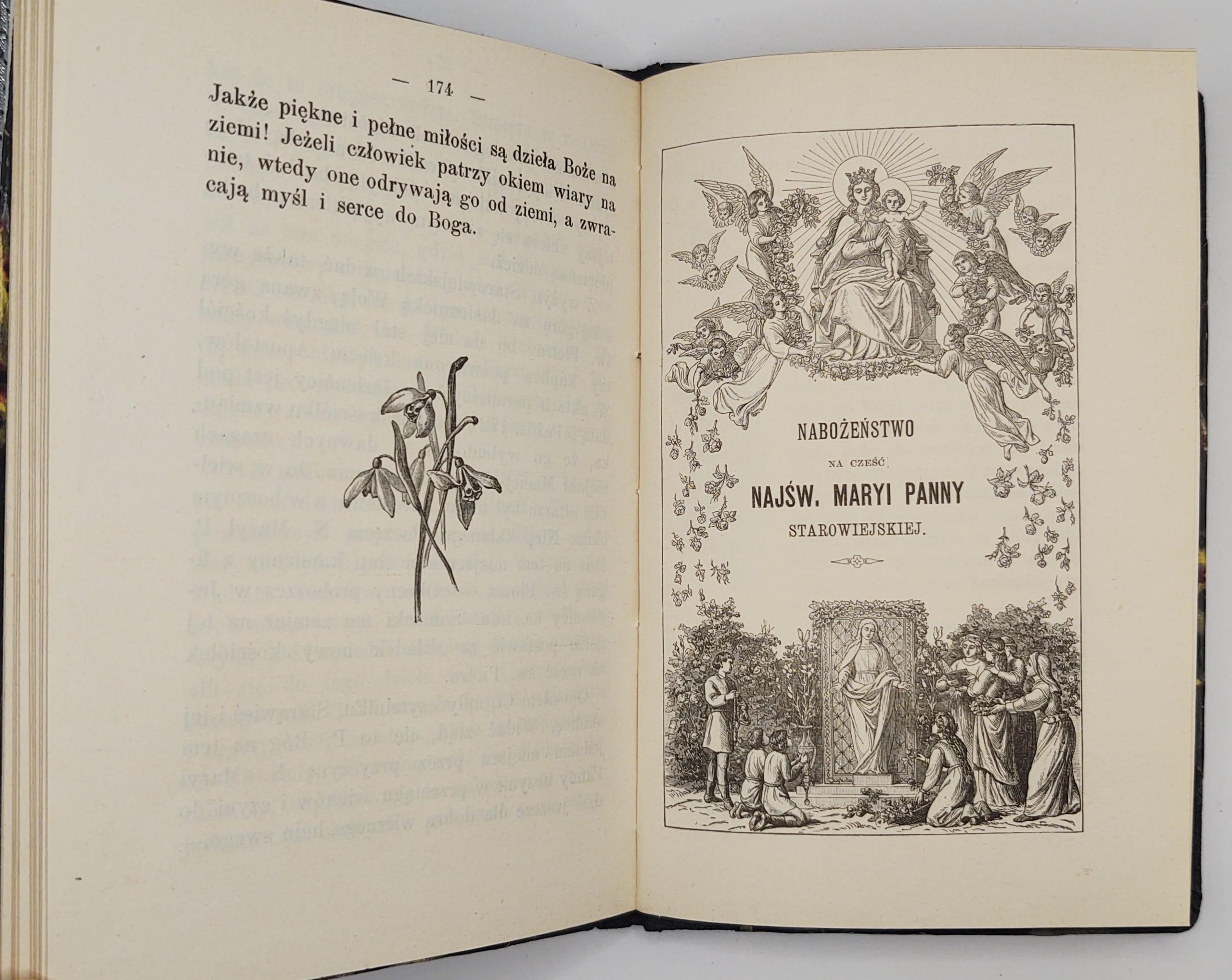 Książka "Cudowny obraz Matki Boskiej Starowiejskiej w Ziemi Sanockiej" Ks. W. Mrowiński T. J., 1895 r.