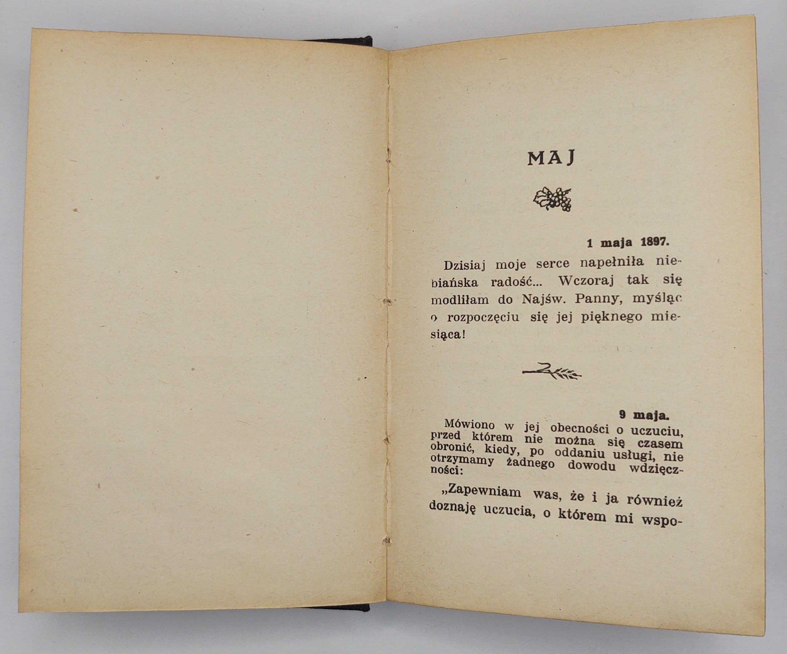 Książka "NOVISSIMA VERBA. Ostatnie rozmowy św. Teresy od Dzieciątka Jezus. Maj-wrzesień 1897 roku.", 1930 r.