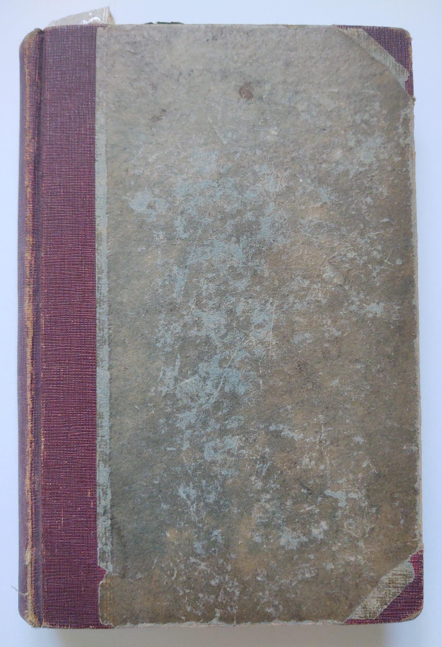 Książka "ŻYWOT Św. DOMINIKA i obraz historyczny Zakonu Braci Kaznodziejów", 1891 r.