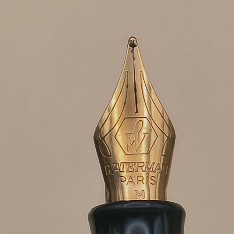 Pióro wieczne Waterman Paris