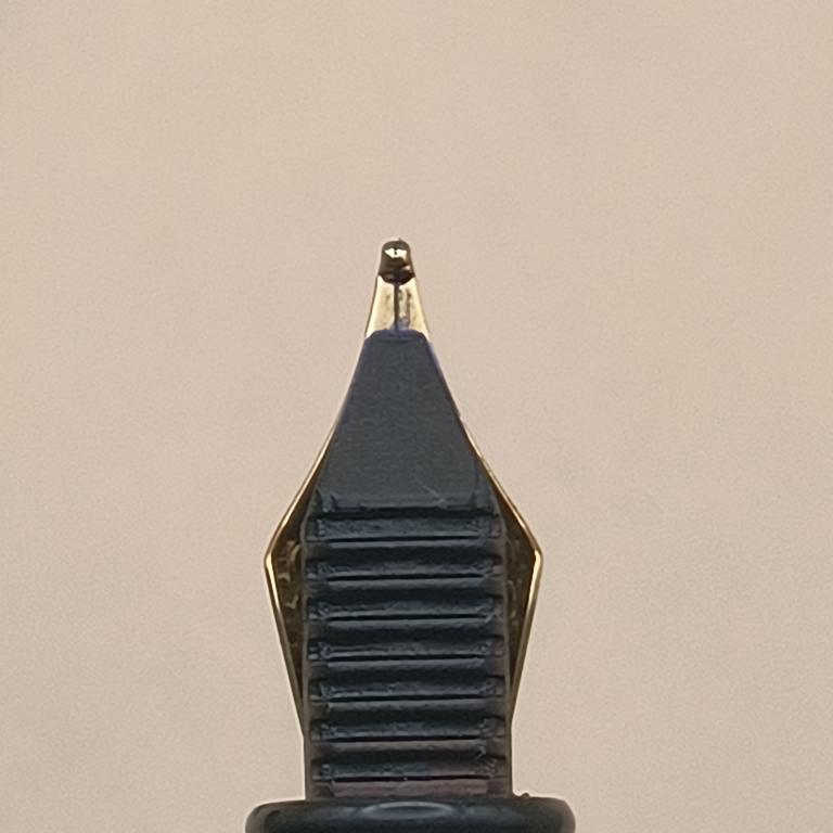 Pióro wieczne Waterman Paris
