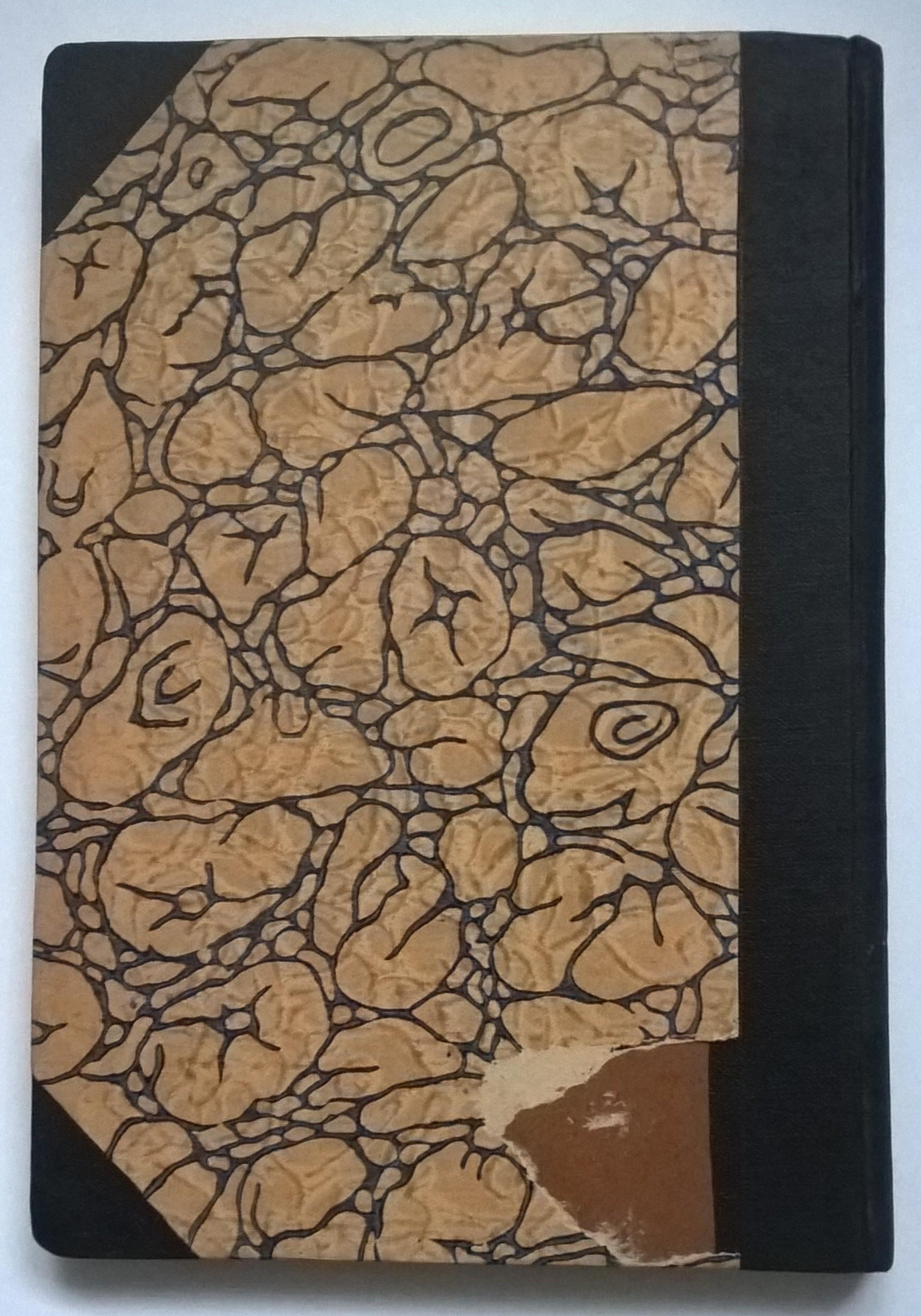 Książka "Papież Benedykt XV" Ks. Czesław Oraczewski, 1917 r.